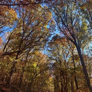 Meet your Posher, Ren